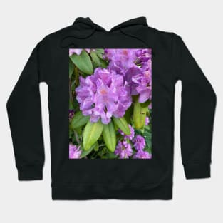 Rhododendron Hoodie